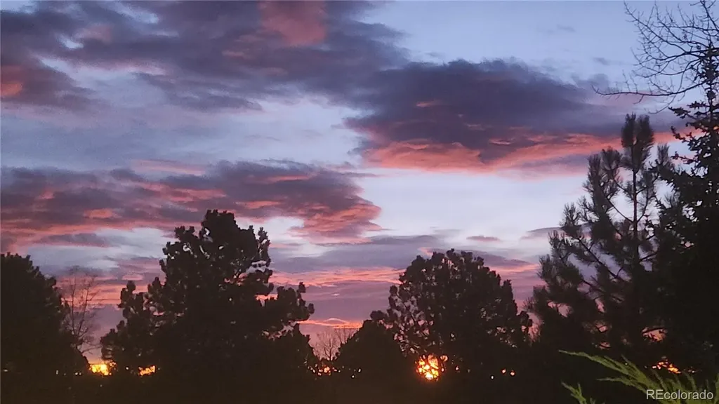 31347 Tamarisk Lane Evergreen CO 80439