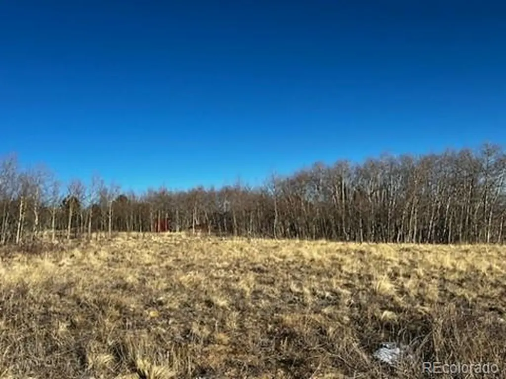 3538 High Creek Road Fairplay CO 80440