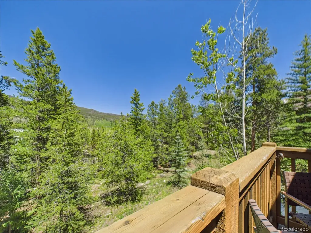 27 Lake Ridge Circle Dillon CO 80435