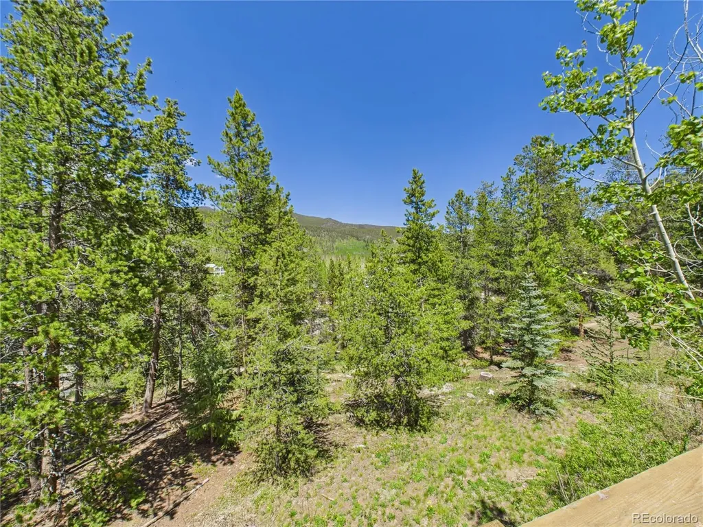 27 Lake Ridge Circle Dillon CO 80435
