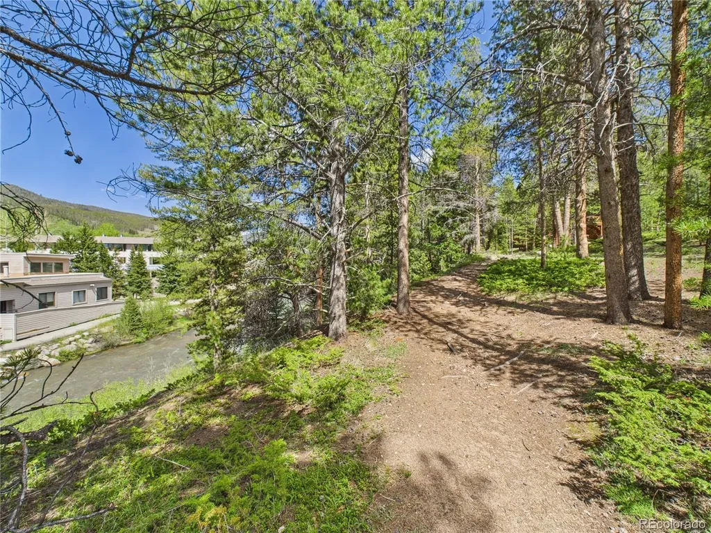 27 Lake Ridge Circle Dillon CO 80435