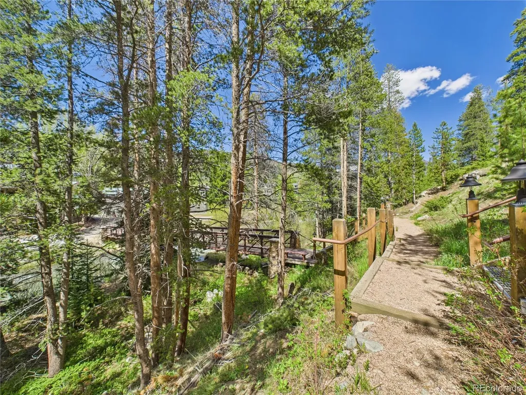 27 Lake Ridge Circle Dillon CO 80435