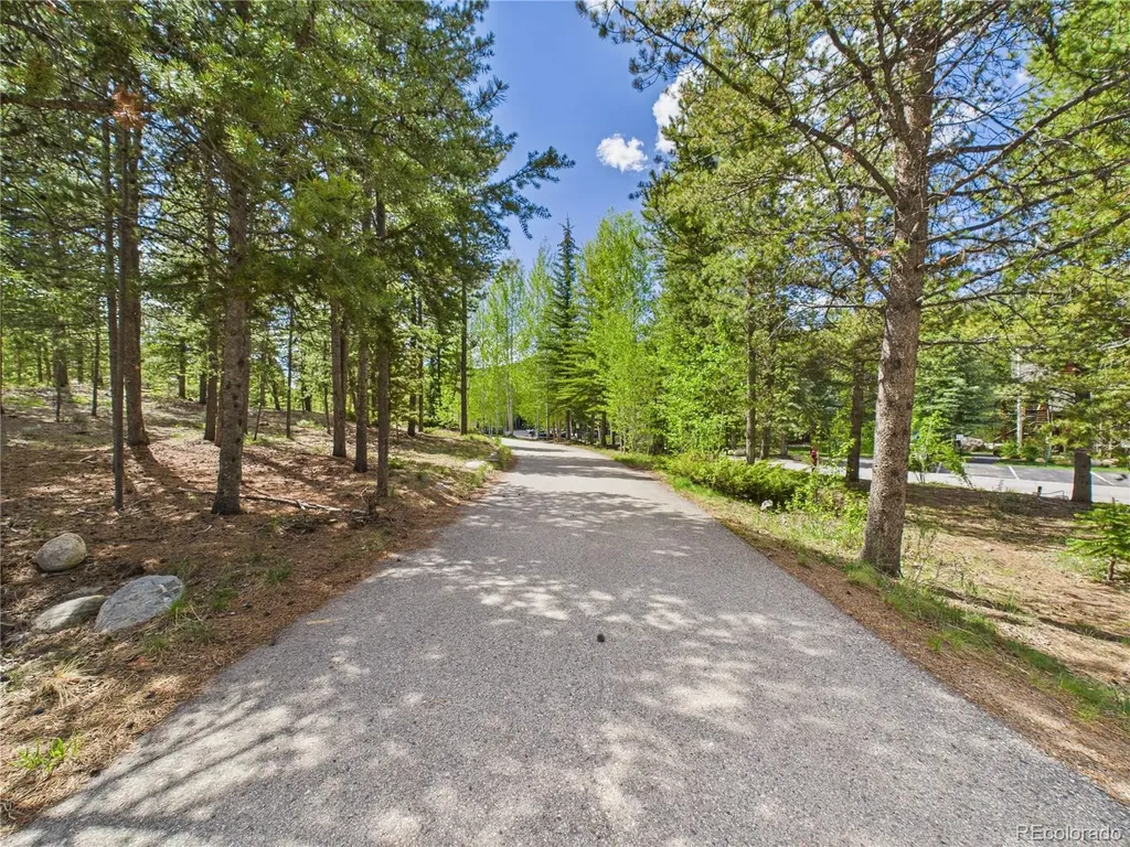 27 Lake Ridge Circle Dillon CO 80435