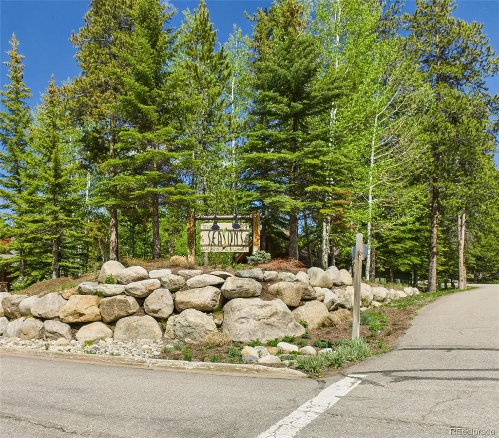 27 Lake Ridge Circle Dillon CO 80435