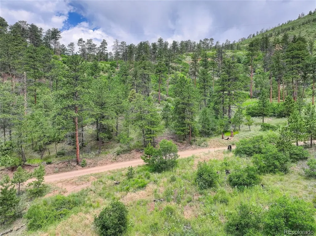 6085 Wellington Road Cascade CO 80809