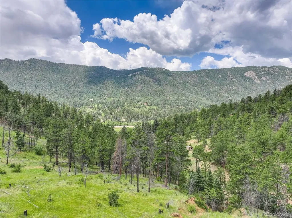 6085 Wellington Road Cascade CO 80809
