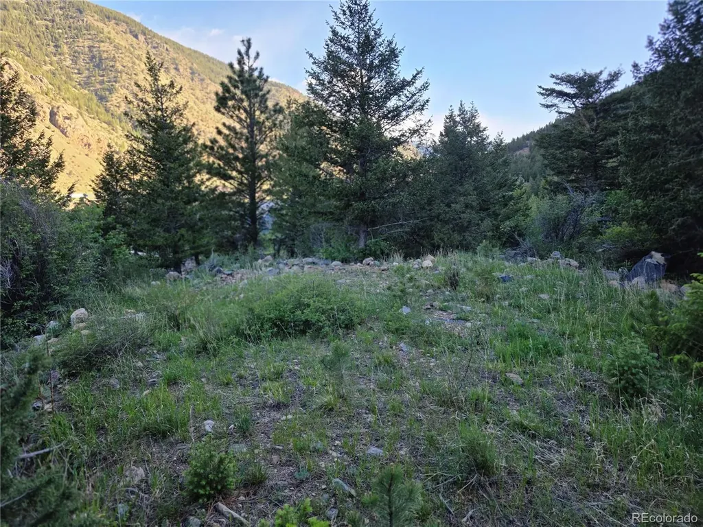 1784 Main Georgetown CO 80444