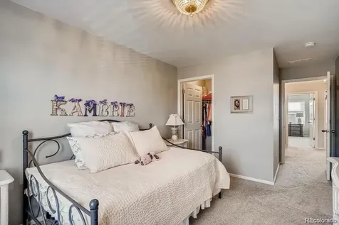 2212 Shadow Creek Drive Castle Rock CO 80104