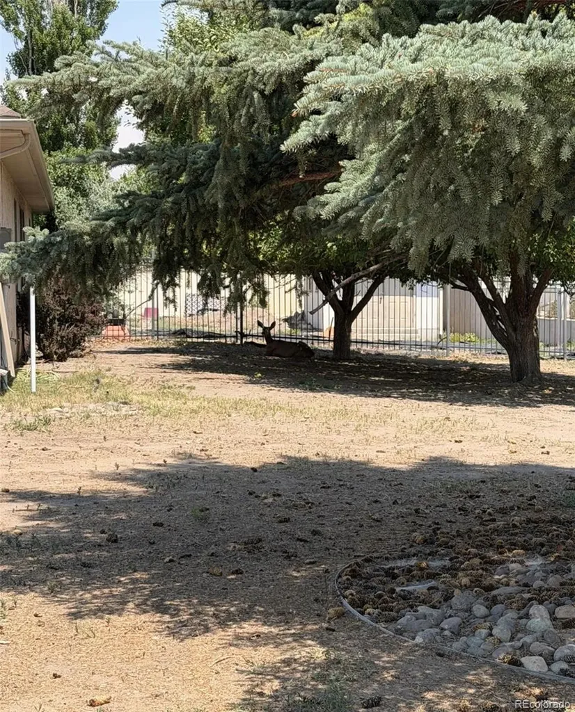 2 Wildwood Place Alamosa CO 81101
