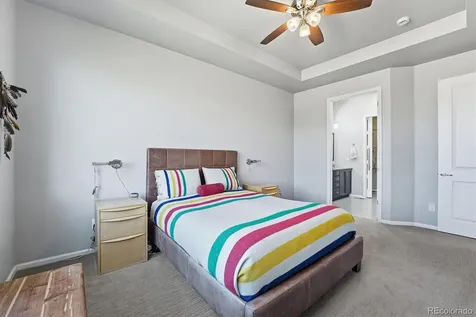 3617 New Haven Circle Castle Rock CO 80109