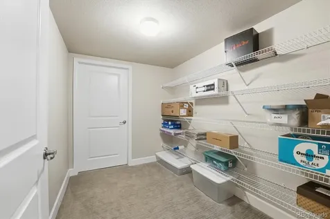 3617 New Haven Circle Castle Rock CO 80109