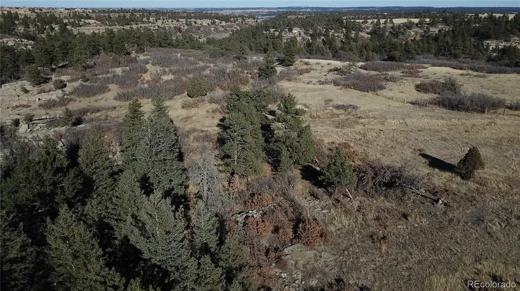 5695 Willow Creek Road Castle Rock CO 80104