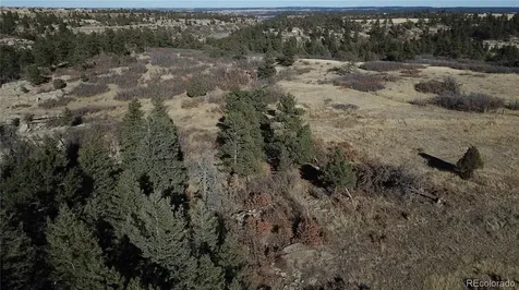 5695 Willow Creek Road Castle Rock CO 80104