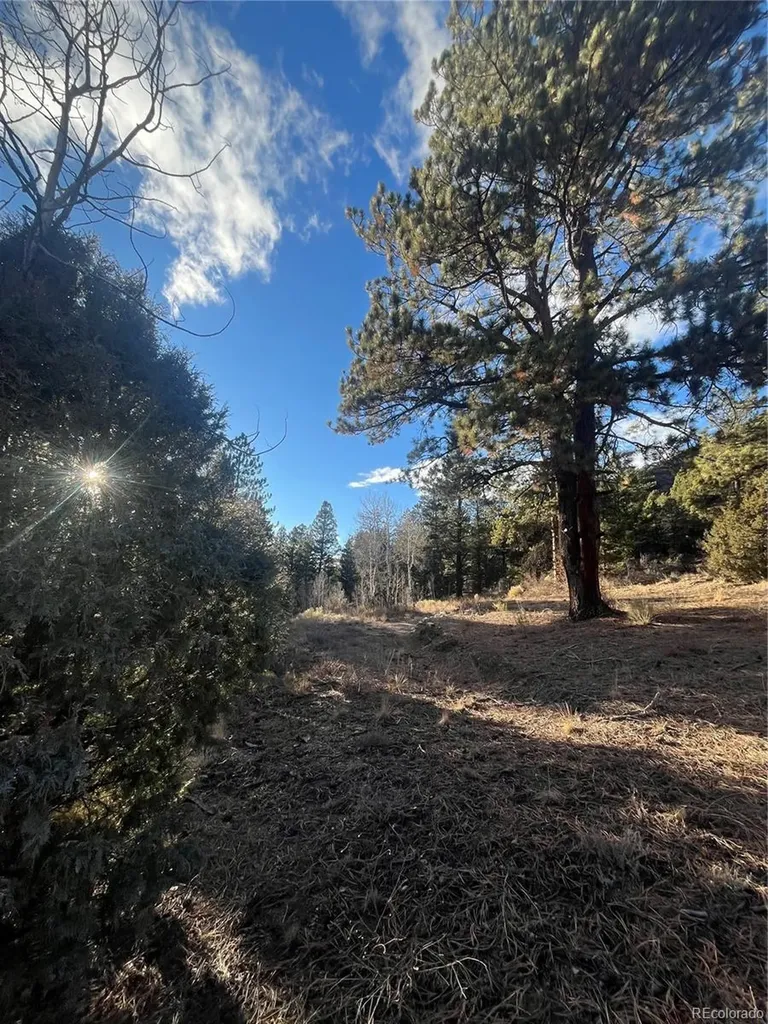 Forbes Road Fort Garland CO 81133