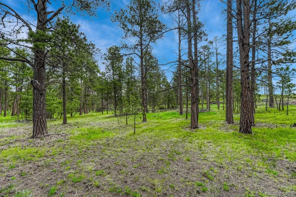 000 Wyandott Drive Colorado Springs CO 80908