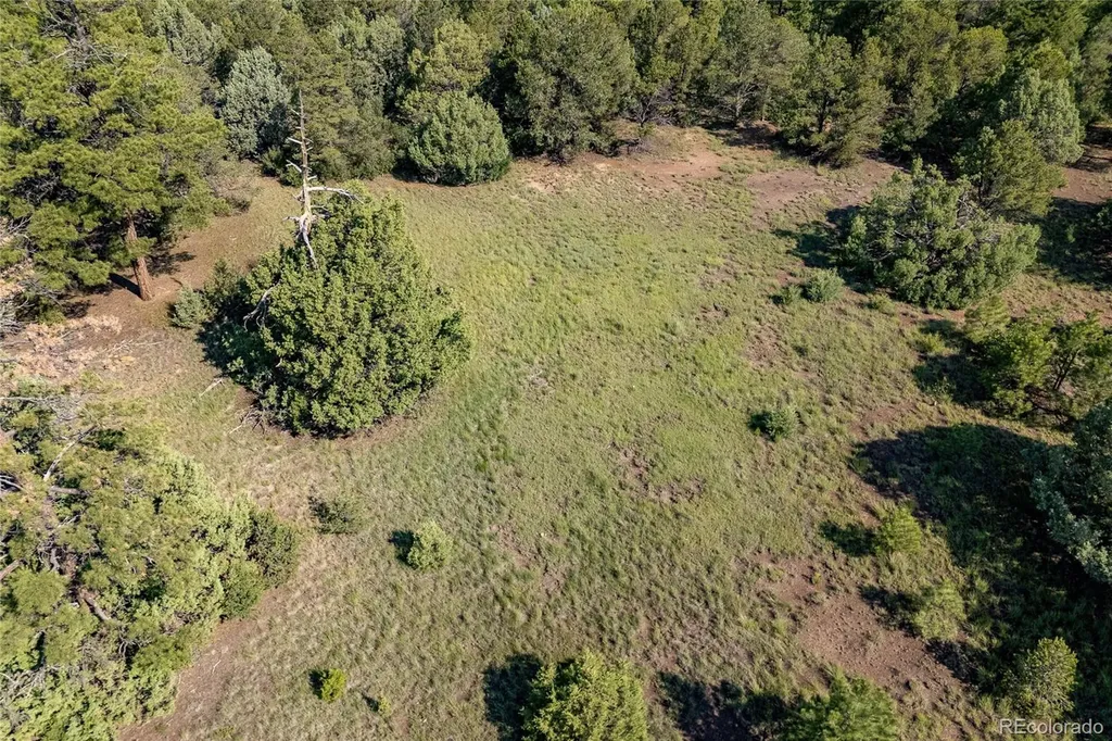 33000 Timber Park Drive Trinidad CO 81082