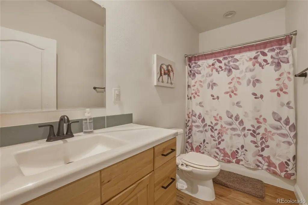 115 Brooklyn Circle Leadville CO 80461