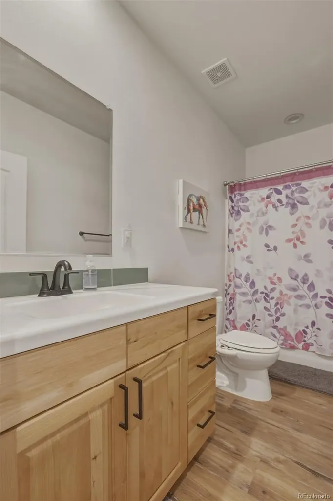 115 Brooklyn Circle Leadville CO 80461