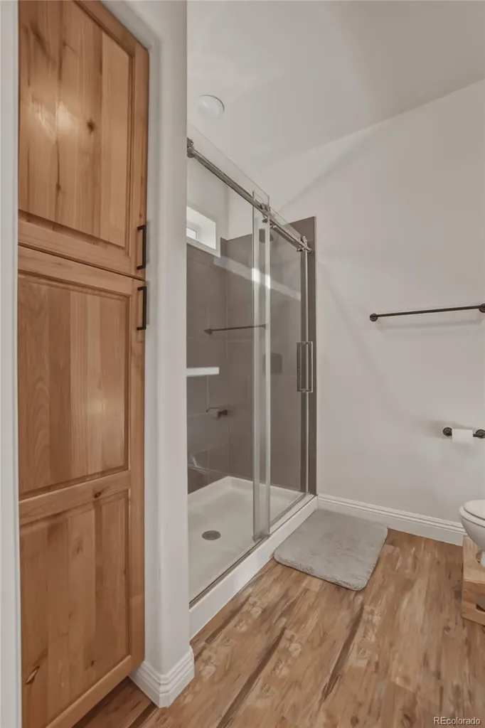 115 Brooklyn Circle Leadville CO 80461
