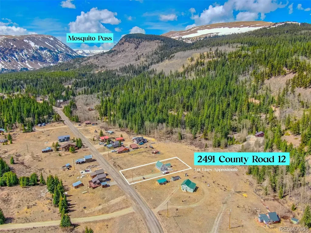 2491 Cr-12 Alma CO 80420