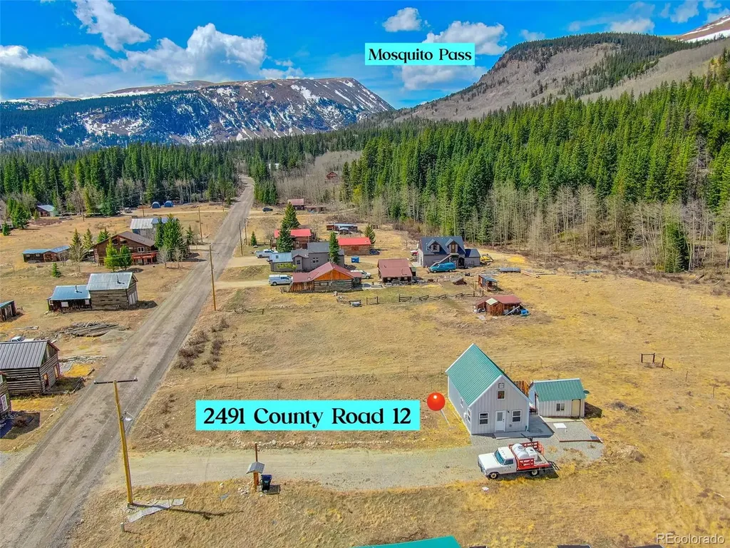 2491 Cr-12 Alma CO 80420