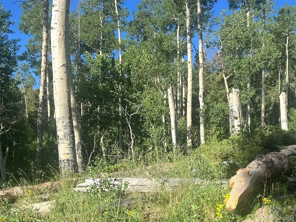 13 Bonanza Road Villa Grove CO 81155