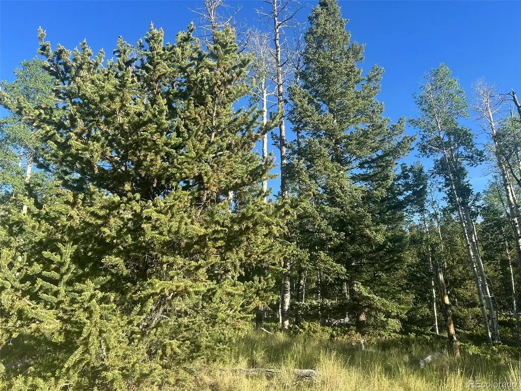 13 Bonanza Road Villa Grove CO 81155