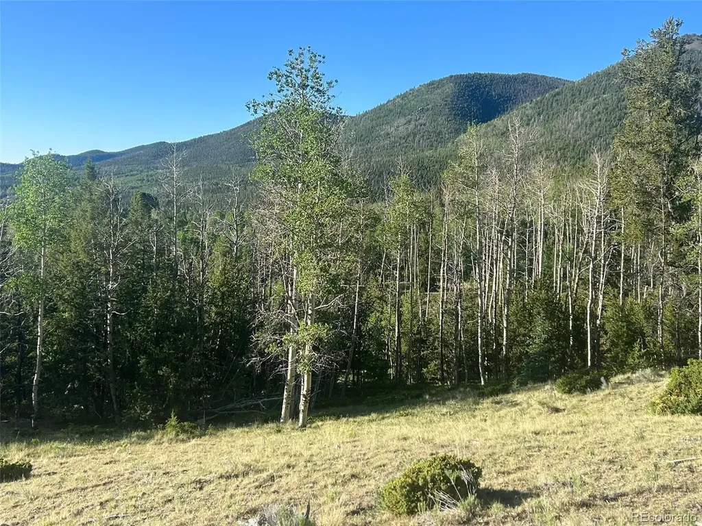 13 Bonanza Road Villa Grove CO 81155