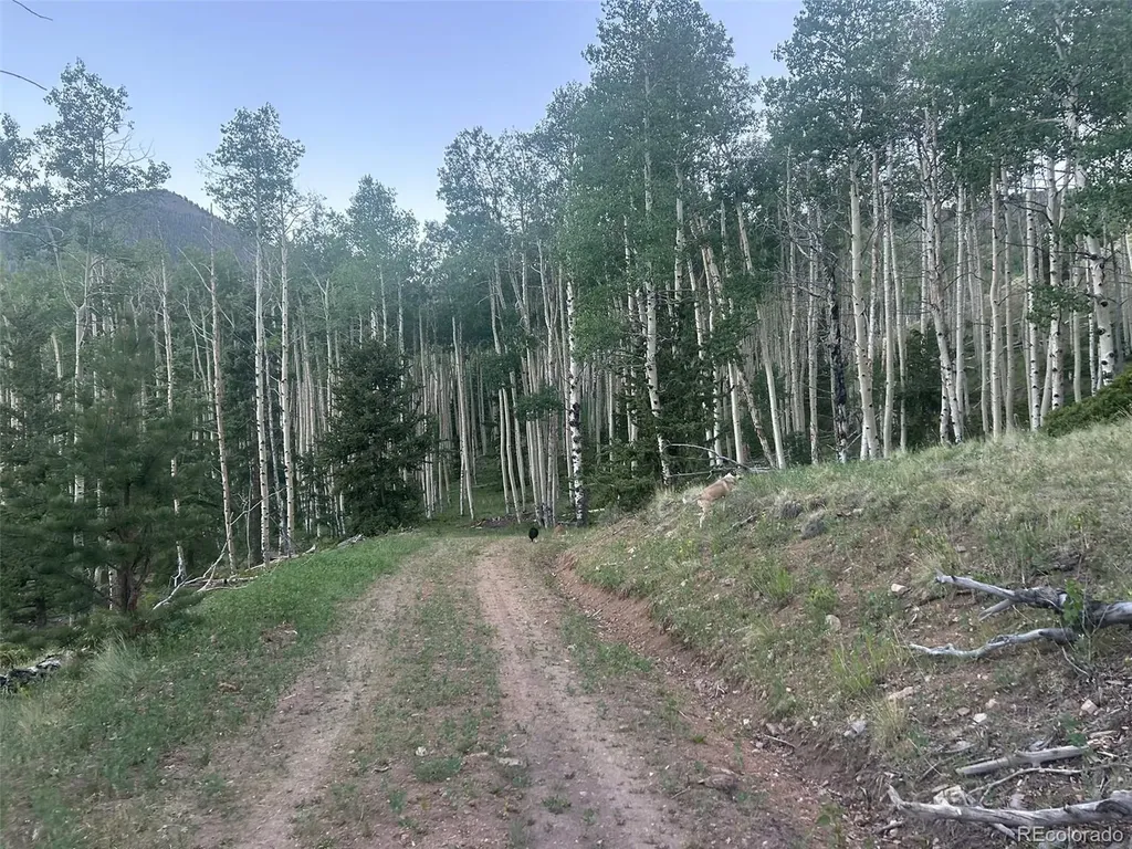13 Bonanza Road Villa Grove CO 81155