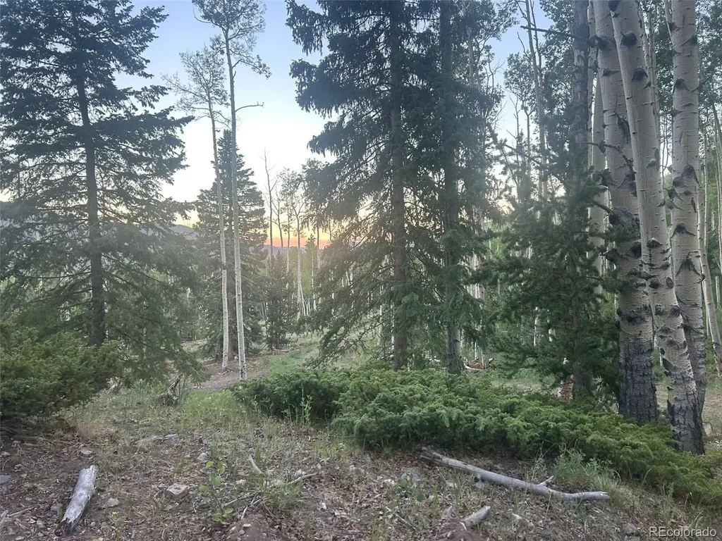 13 Bonanza Road Villa Grove CO 81155