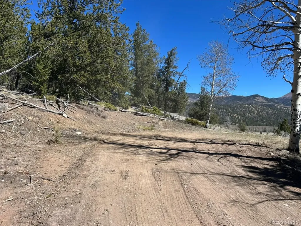 13 Bonanza Road Villa Grove CO 81155