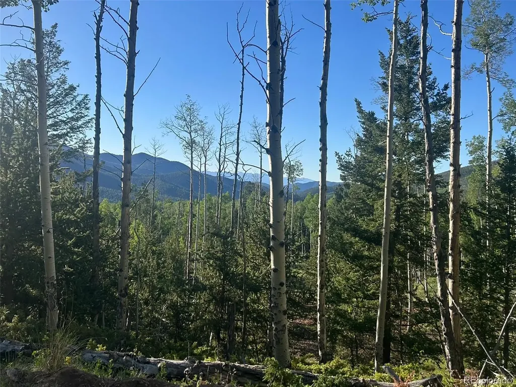 13 Bonanza Road Villa Grove CO 81155
