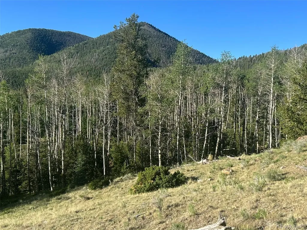 13 Bonanza Road Villa Grove CO 81155