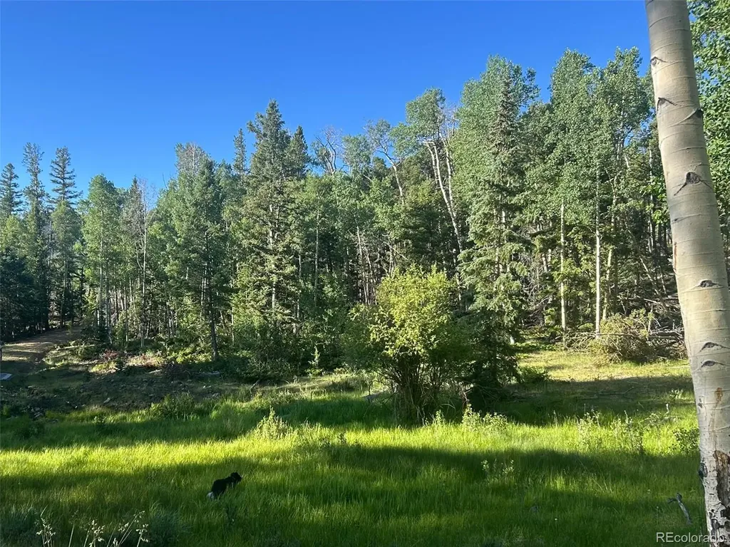 13 Bonanza Road Villa Grove CO 81155