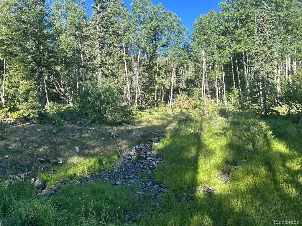 13 Bonanza Road Villa Grove CO 81155