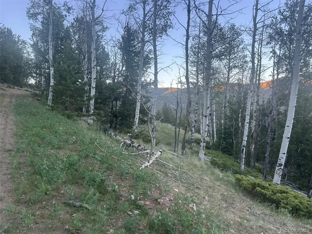 13 Bonanza Road Villa Grove CO 81155