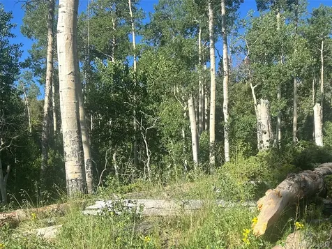 13 Bonanza Road Villa Grove CO 81155