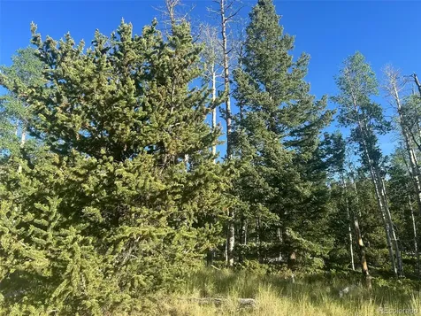 13 Bonanza Road Villa Grove CO 81155