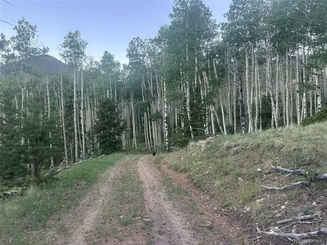 13 Bonanza Road Villa Grove CO 81155