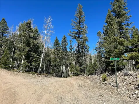 13 Bonanza Road Villa Grove CO 81155
