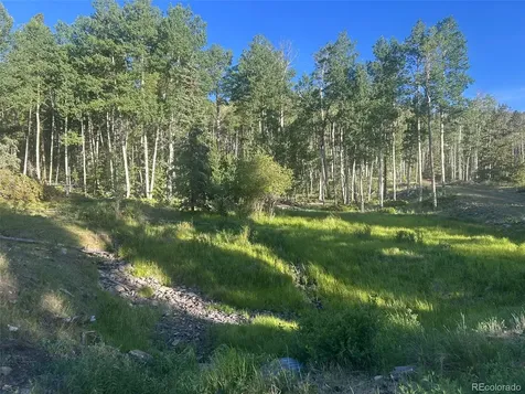 13 Bonanza Road Villa Grove CO 81155