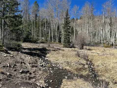 13 Bonanza Road Villa Grove CO 81155