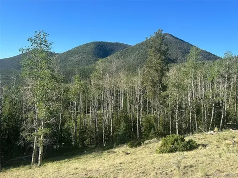 13 Bonanza Road Villa Grove CO 81155