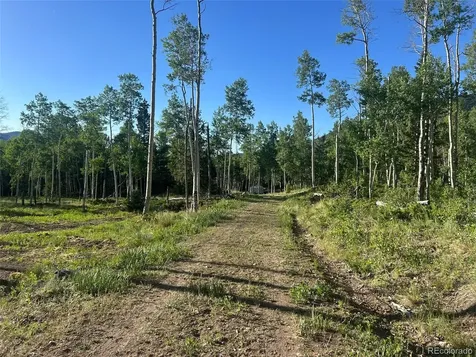 13 Bonanza Road Villa Grove CO 81155