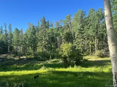 13 Bonanza Road Villa Grove CO 81155