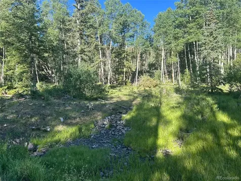 13 Bonanza Road Villa Grove CO 81155