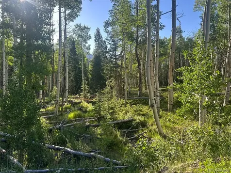13 Bonanza Road Villa Grove CO 81155