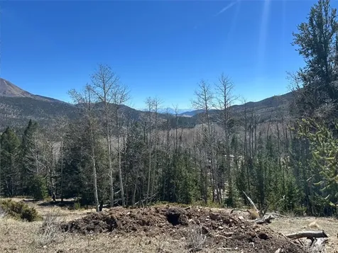 13 Bonanza Road Villa Grove CO 81155