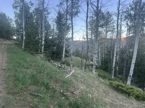 13 Bonanza Road Villa Grove CO 81155