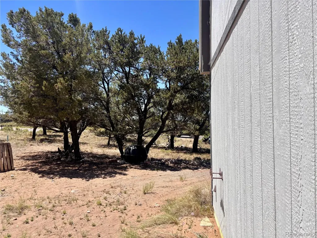 360 Camino Baca Grande Crestone CO 81131